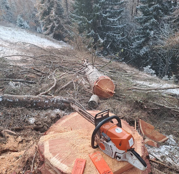 Élagage, abbatage, démontage